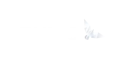 logo-nviso-2x