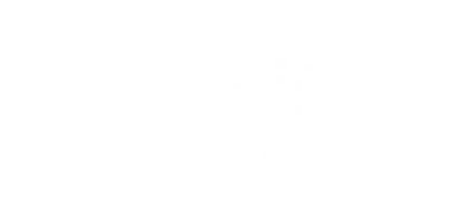 logo-securityrisk-2x
